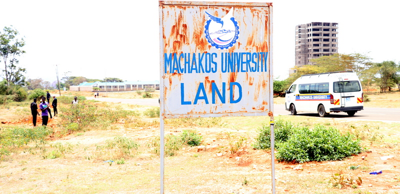 The Allocated Land at Mua Ward