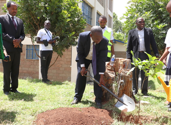 Prof. Kimiti planting a tree