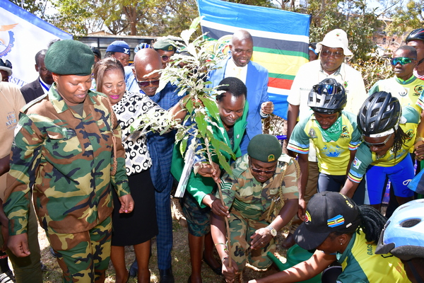 Tree-Planting Exercise- A Tree of Integration